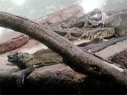 �z�m����������