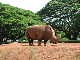 �z�m����������