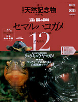 �T�ԓV�R�L�O���@�Z�}���n�R�K��